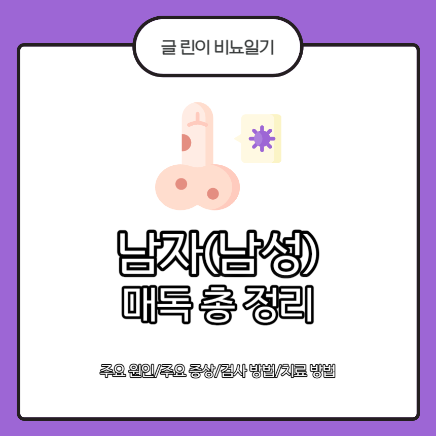  남자(남성) 매독 총 정리 : 주요 원인/주요 증상/검사 방법/치료 방법