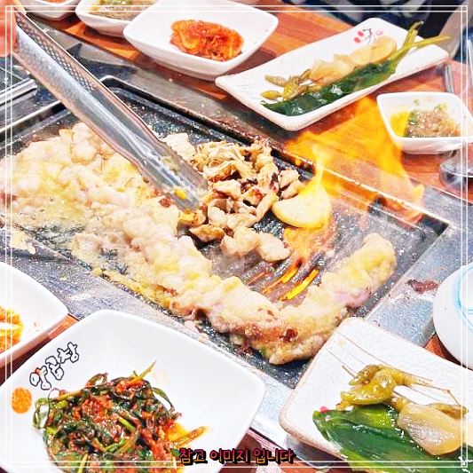  토요일은밥이좋아의 추천! 부산 온천동 온천천양곱창의 곱창모둠구이과 특양 대창 맛집 탐방기