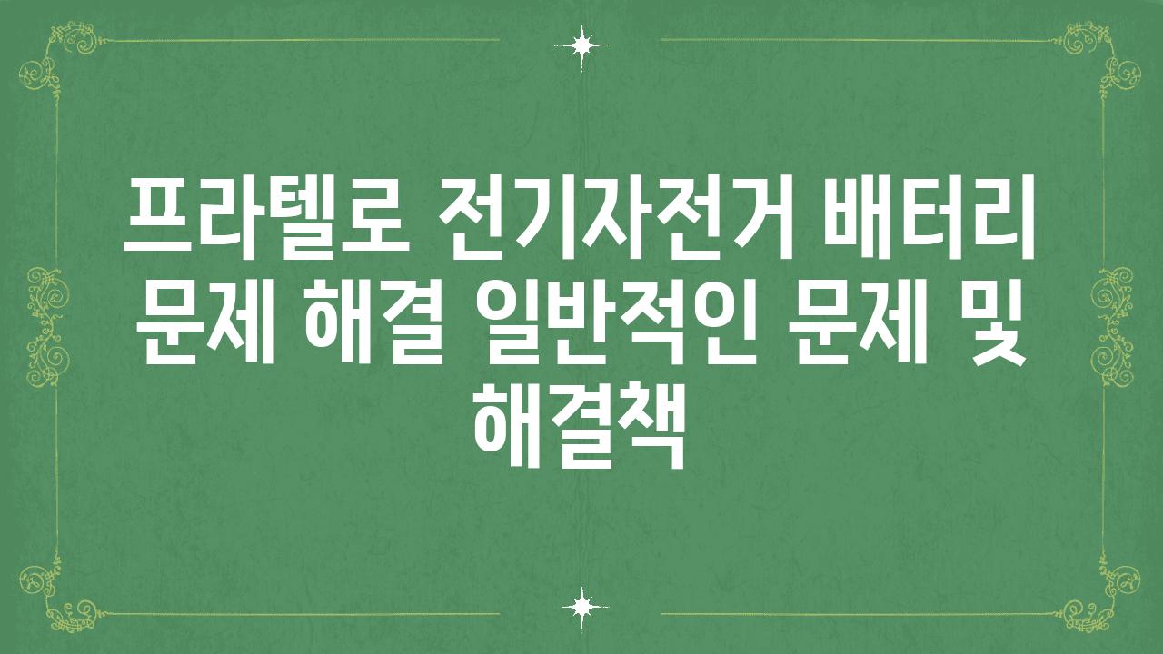 프라텔로 전기자전거 배터리 문제 해결 일반적인 문제 및 해결책