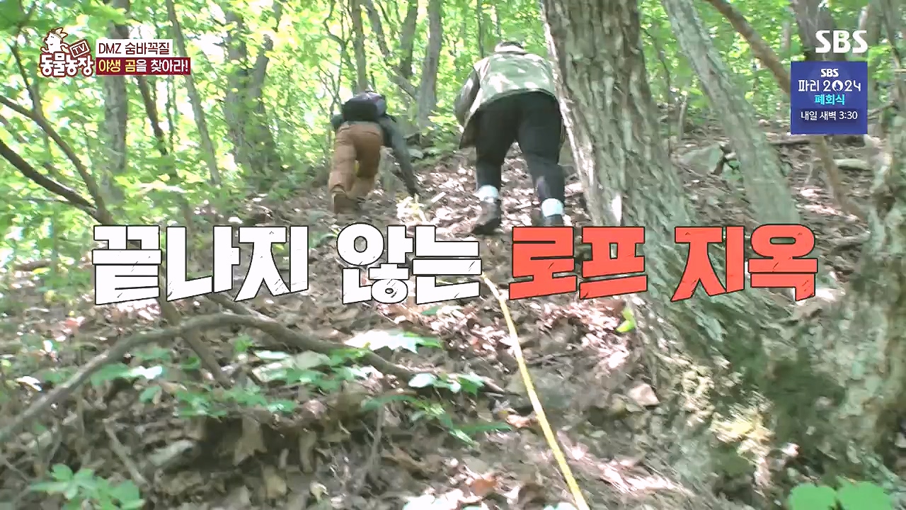 TV 동물농장.E1184.240812p-NEXT.mp4_20240811_172516.512.jpg
