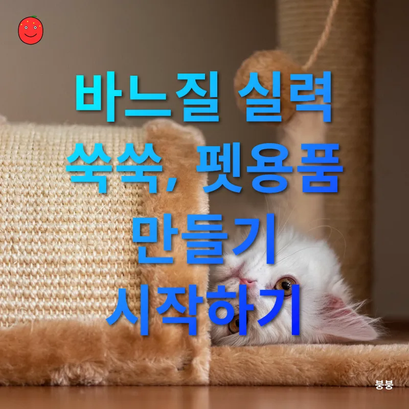 반려동물 장난감 만들기_1