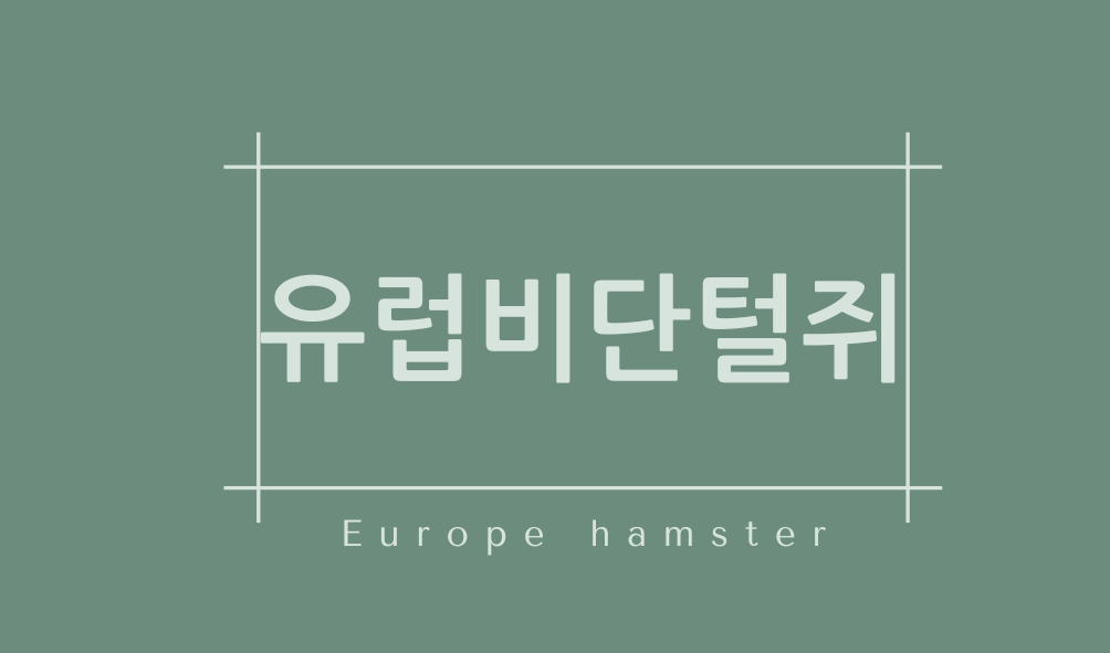 유럽비단털쥐(Europe hamster)