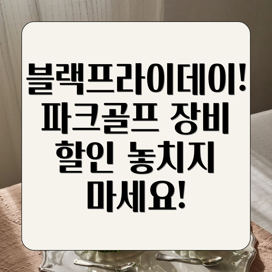 블랙프라이데이 파크골프 장비 할인