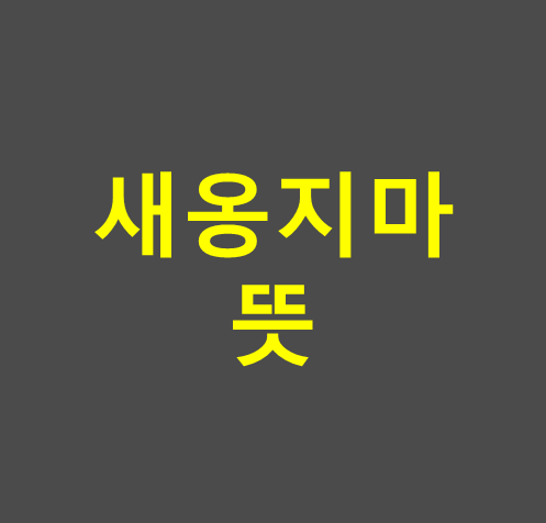 새옹지마 뜻 썸네일