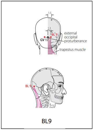 족태양방광경(BL) > BL9 옥침 (玉枕) 1