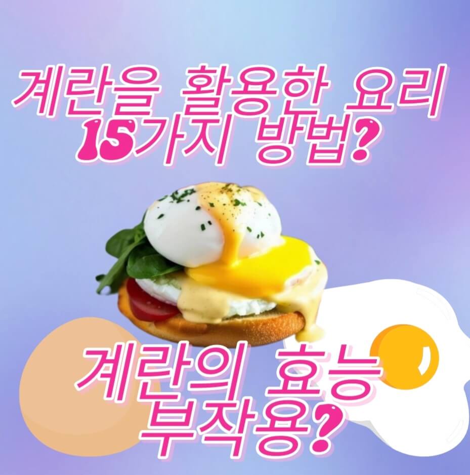  계란을 활용해서 요리하는 15가지 방법?feat.계란 효능? 부작용?