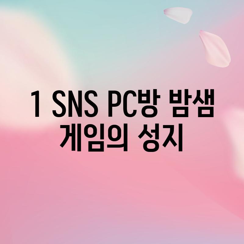 1. SNS PC방: 밤샘 게임의 성지?