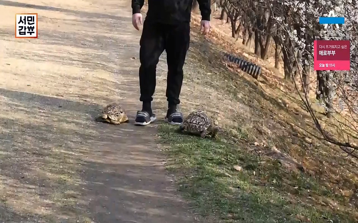 서민 갑부.E381.220431p-NEXT.mp4_20220501_180703.711.jpg