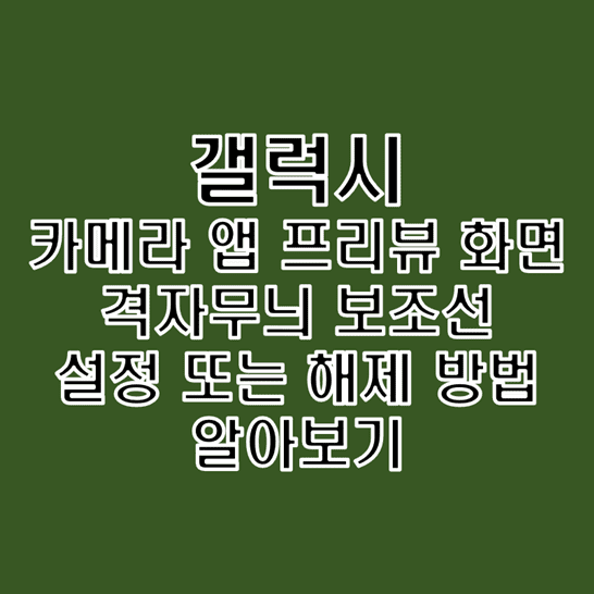  갤럭시 카메라 앱 미리 보기 화면에 수직 수평 안내선 설정 및 해제하는 방법