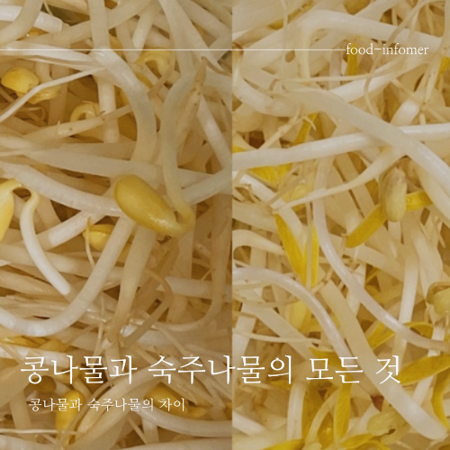 콩나물과 숙주나물