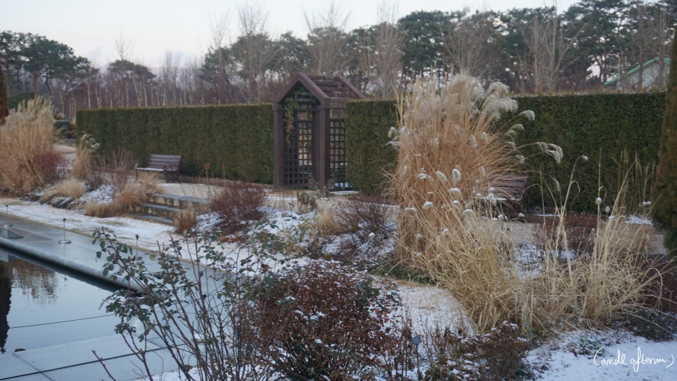 전주 겨울여행 전주겨울여행/한국도로공사 26
