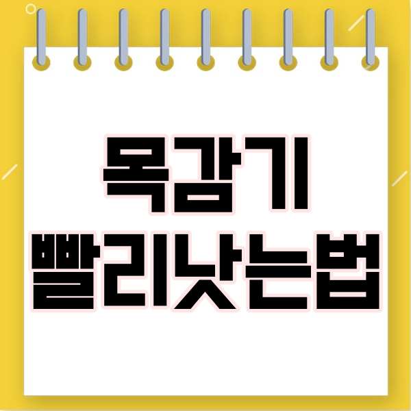  목감기빨리낫는법