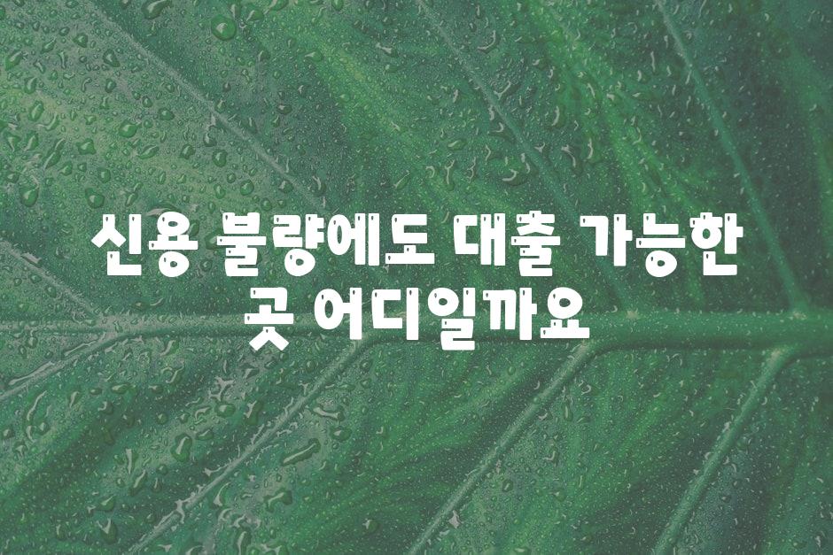 신용 불량에도 대출 가능한 곳 어디일까요