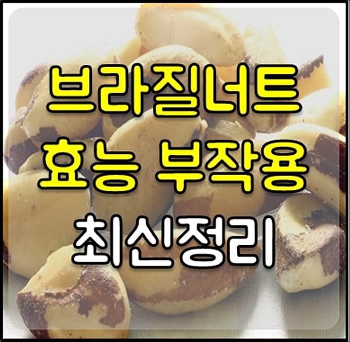 브라질 너트 효능 썸네일