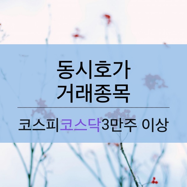 [11.07] 동시호가 거래 종목으로 보는 시황 리뷰