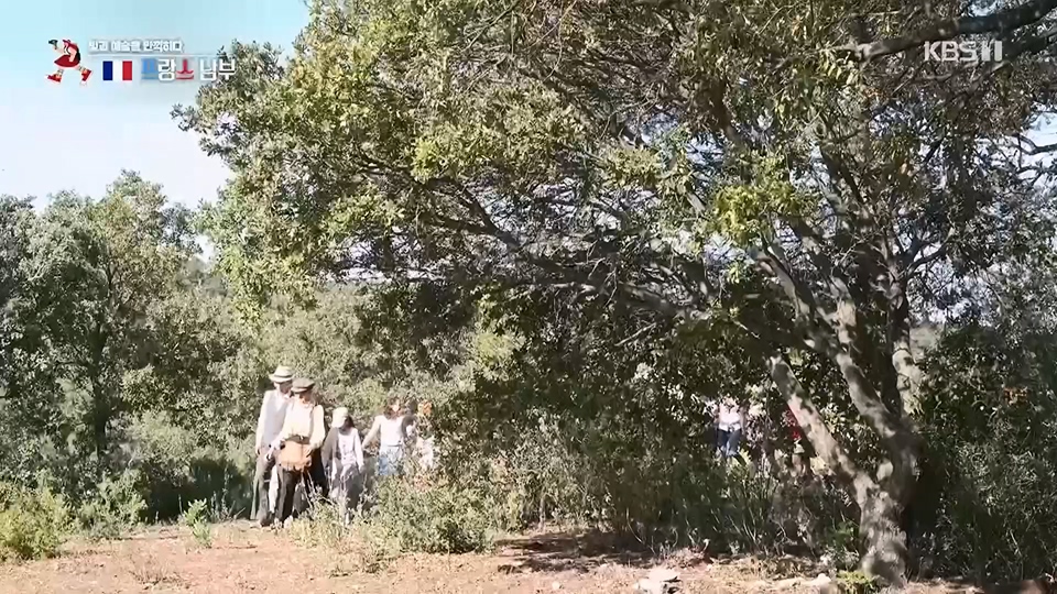 걸어서 세계속으로.E797.230624p.H264-F1RST.mp4_20230624_170823.565.jpg