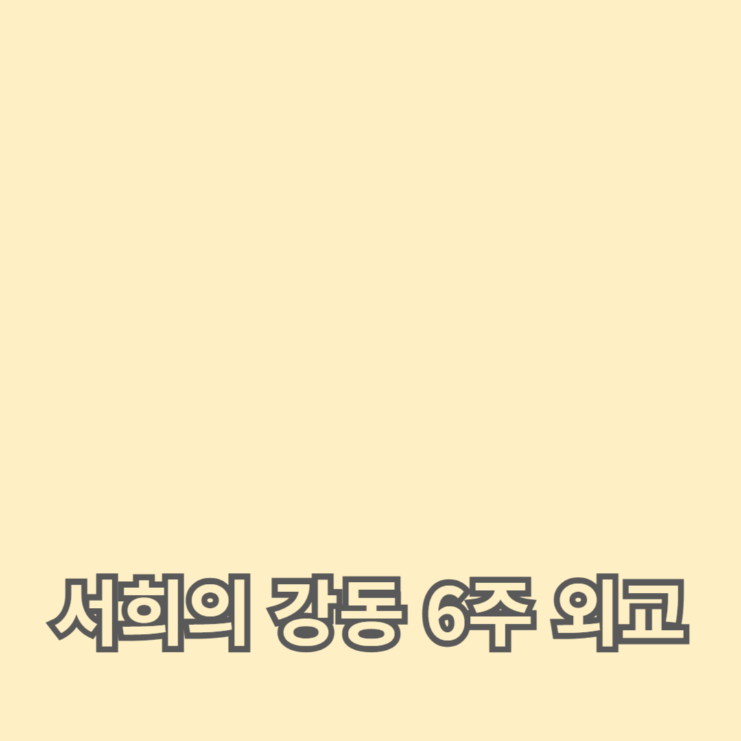 서희의 강동 6주 외교: 고려의 위기를 외교로 해결한 대승