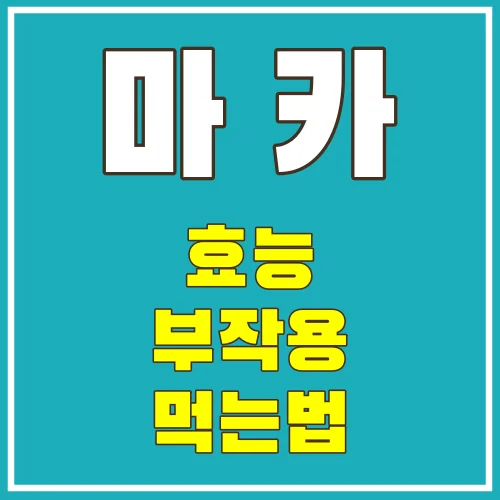 마카의효능