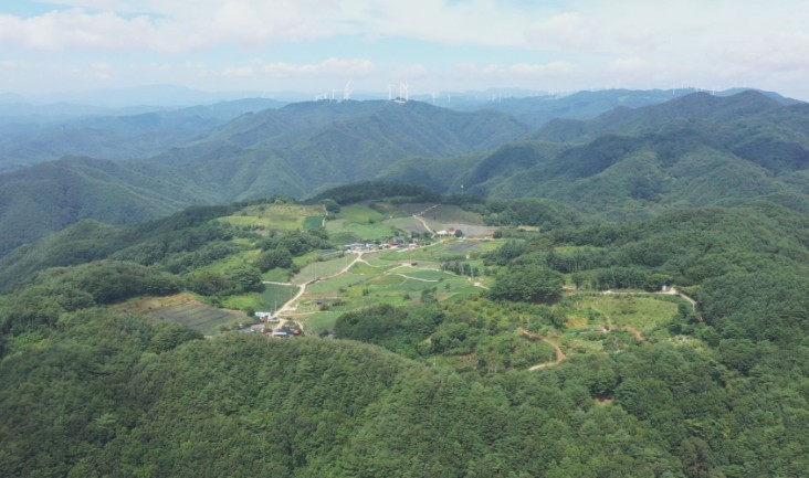 한국기행-영양-포산마을