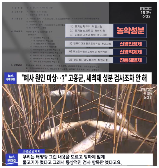 현상 파악도 제대로 하지 않은 공무원이 일을 한 결과 (출처-MBC뉴스)