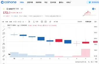 브렛 코인 전망 시세_11
