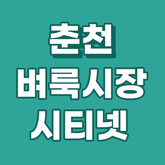  춘천벼룩시장 시티넷  빠른 검색