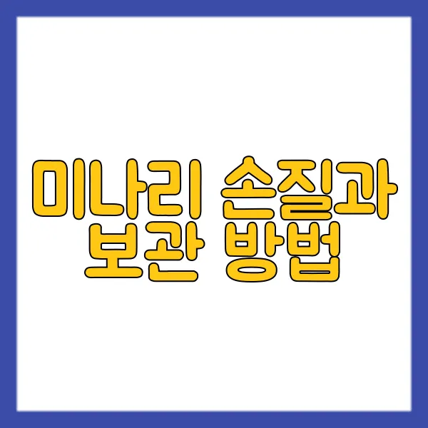 img.webp