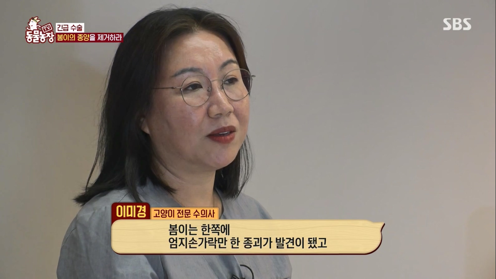 TV 동물농장.E1127.230702p.H264-F1RST.mp4_20230704_212714.407.jpg