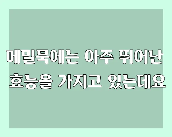 메밀묵에는 아주 뛰어난 효능을 가지고 있는데요