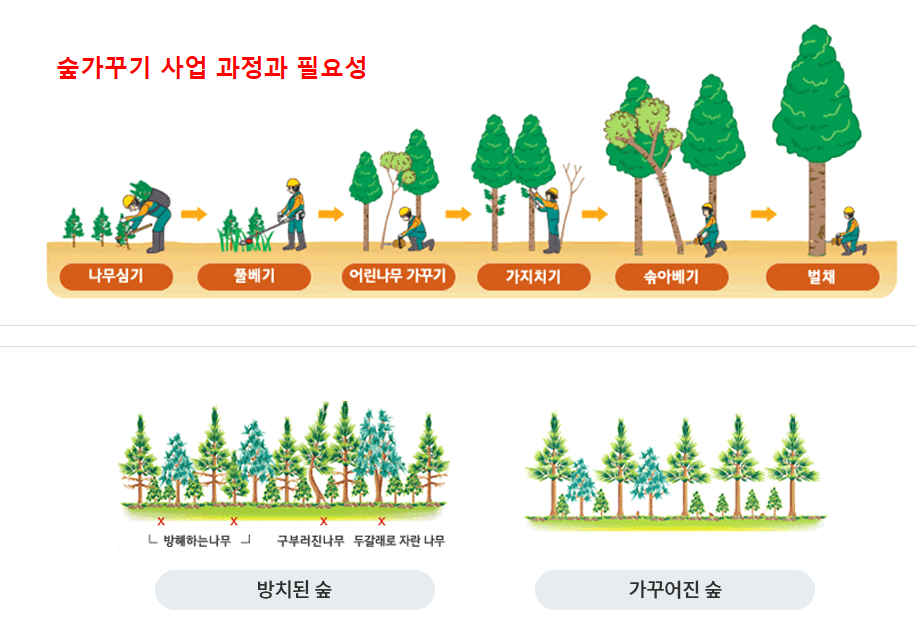 숲가꾸기 사업 절차 방법 과정