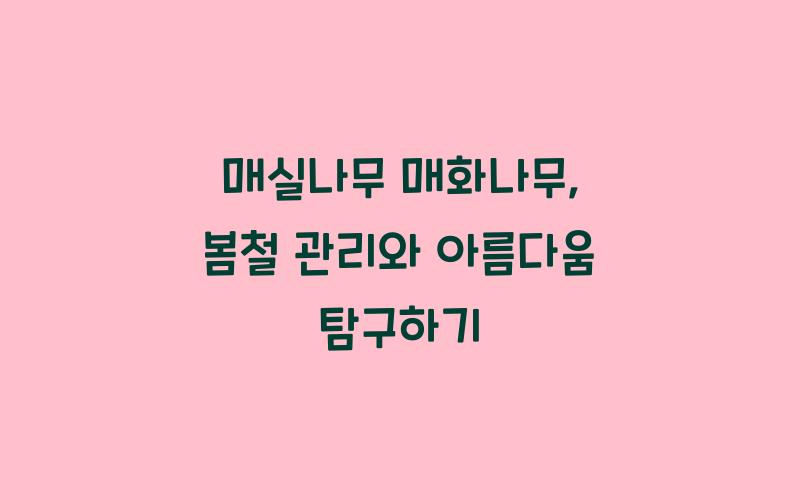 매실나무 매화나무