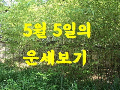 대표