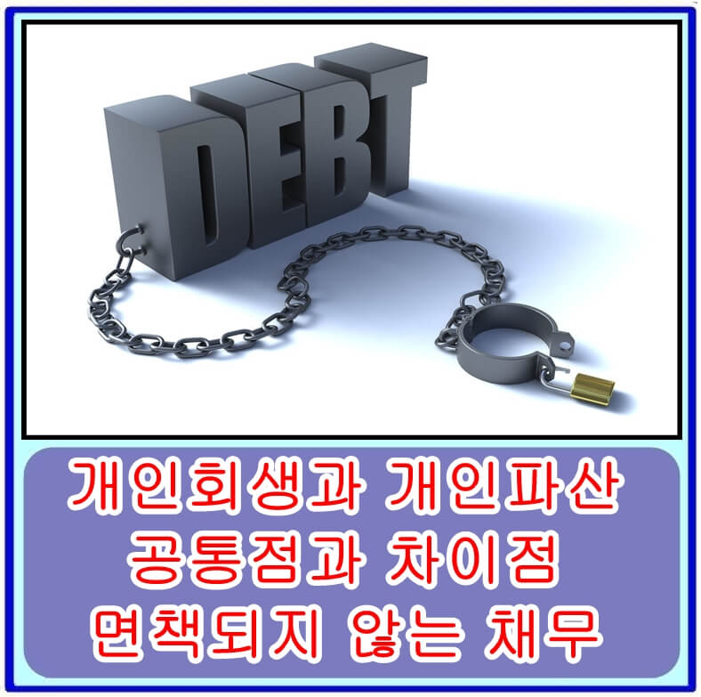  개인회생과 개인파산의 공통점과 차이점, 면책되지 않는 채무