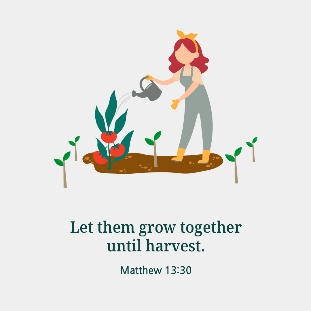 Let them grow together until harvest. (Matthew 13:30)