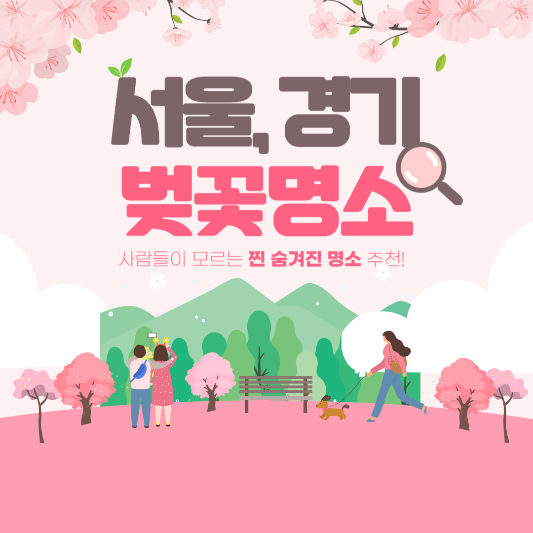 서울 경기 벚꽃 명소