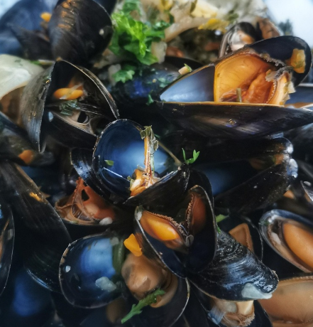 울산 홍합을 활용한 이색 레시피: 바다의 맛을 담은 특별한 요리들