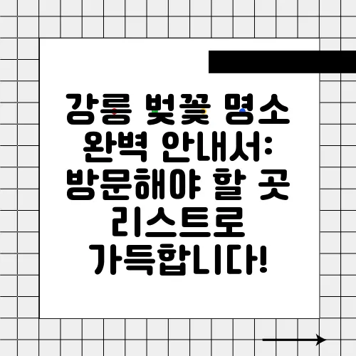강릉 벚꽃 명소 완벽 안내서: 방문해야 할 곳 리스트로 가득합니다!