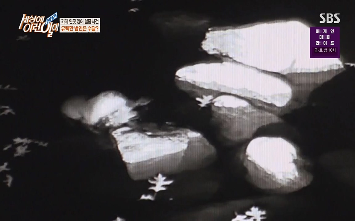 순간포착 세상에 이런일이.E1175.220413p-NEXT.mp4_20220413_175830.837.jpg
