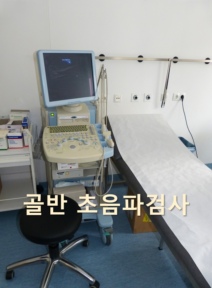  자궁, 난소, 방광을 관찰하는 골반 초음파검사 방법