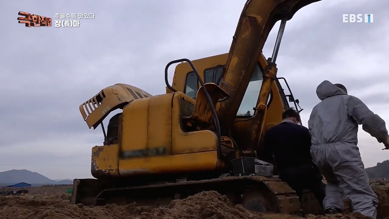 [극한직업] 추울수록 맛있다 장(長)마와 대방어.E734.221218p-NEXT.mp4_20221219_193403.943.jpg