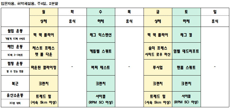  처음 운동하는 사람을 위한 헬스 루틴(허약체질 입문자용)