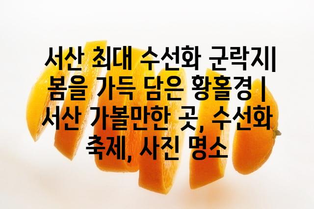 랜덤158