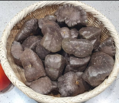  하늘마 먹는 법 및 보관 법 (요리 방법은?)