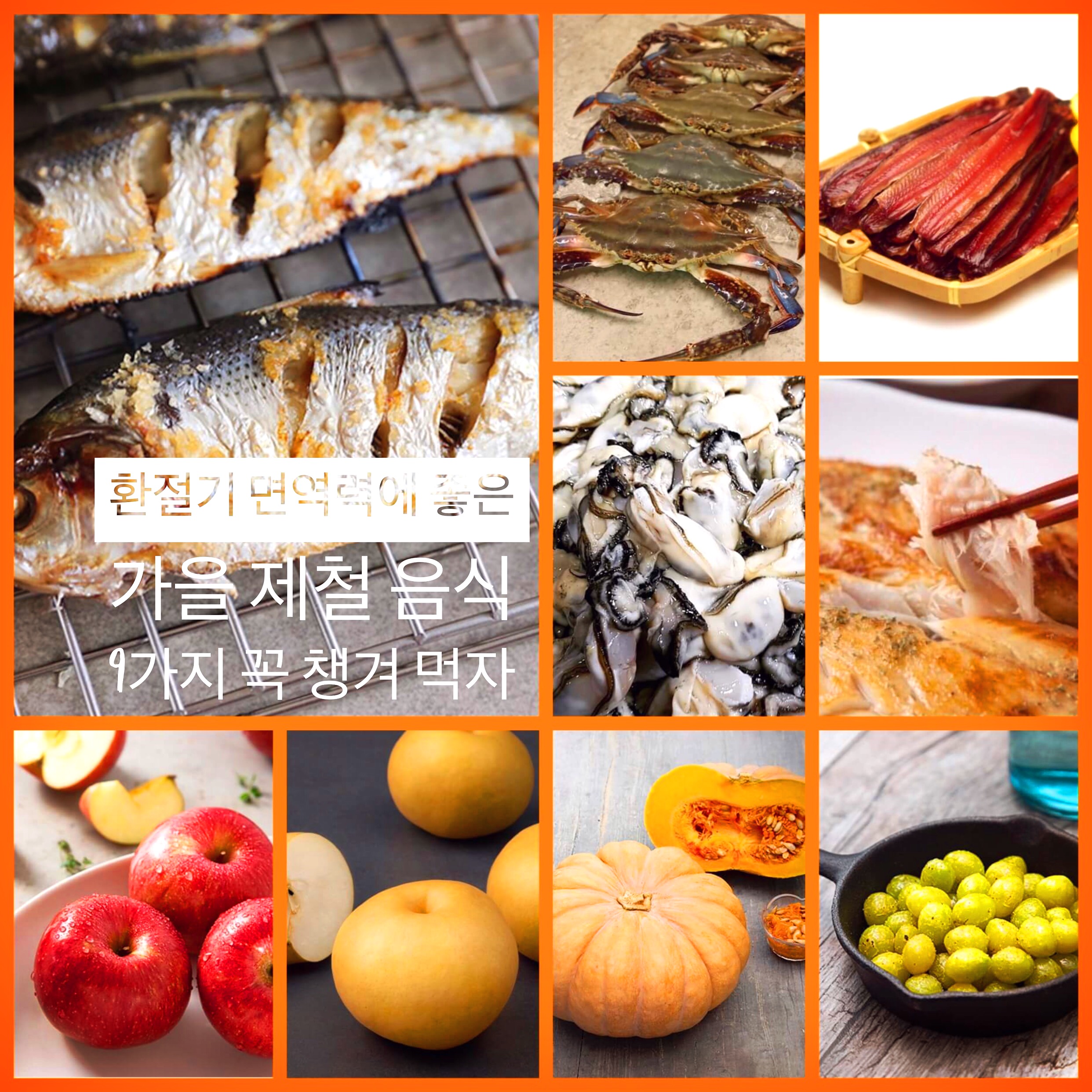  환절기 면역력에 좋은  가을 제철 음식 9가지 꼭 챙겨먹자