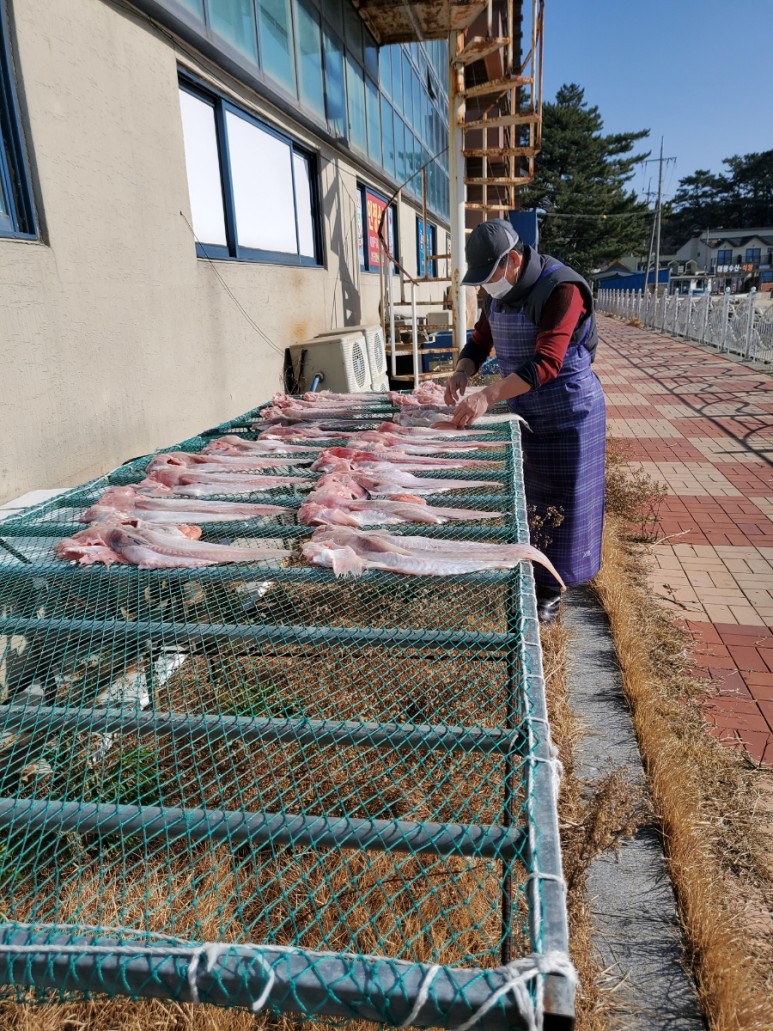 잠뱅이 석화 방어 낙지 자연산굴 대하 홍합 (섭) 꽃게 새조개 아휴~ 1