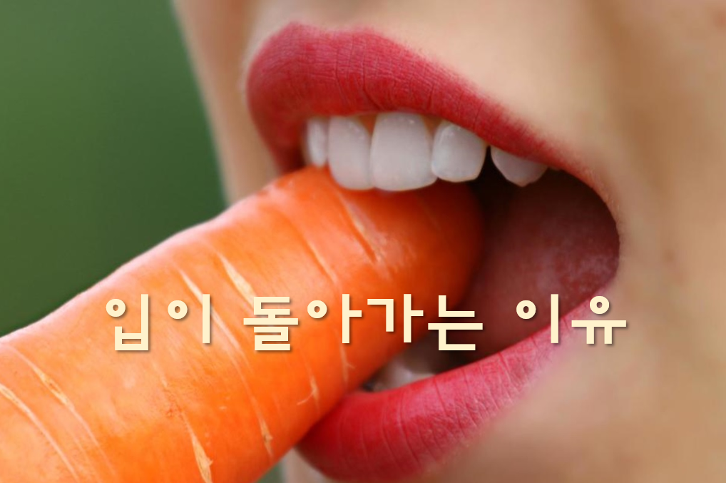  입이 돌아가는 이유와 증상의 치료 방법