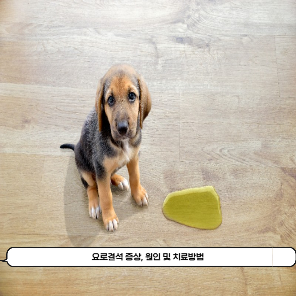  소변에서 혈뇨가 발견된다면 요로결석을 의심해야 할 때! 요로결석의 증상, 원인 및 치료방법