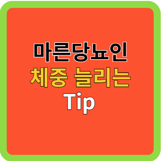 마른 당뇨인 체중 늘리는 Tip