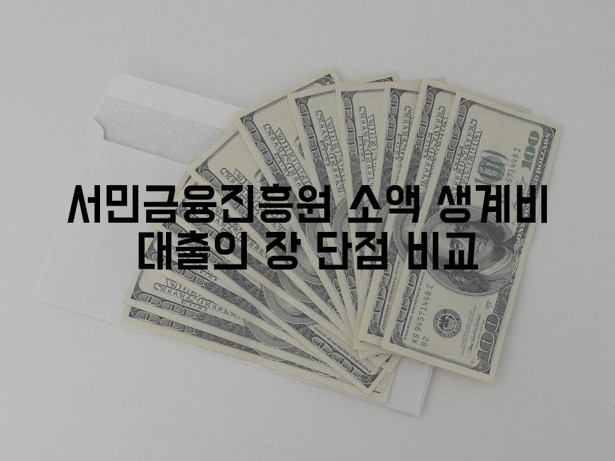 서민금융진흥원 소액 생계비 대출의 장 단점 비교