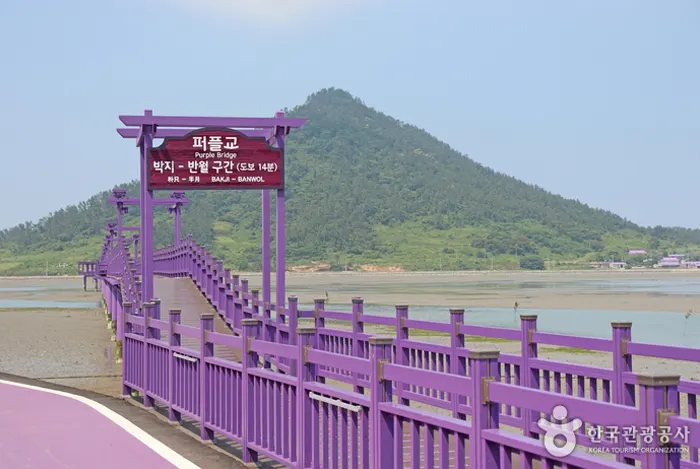 퍼플교 전경 이미지
